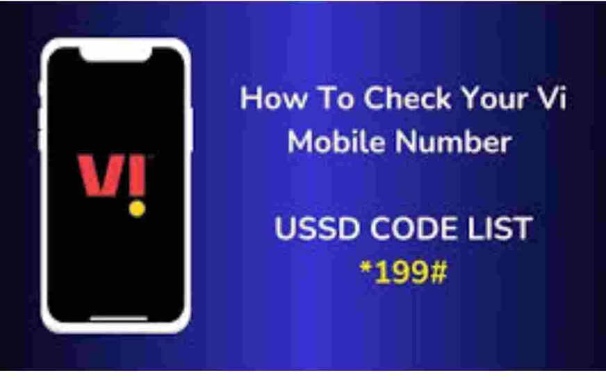 VI number check code