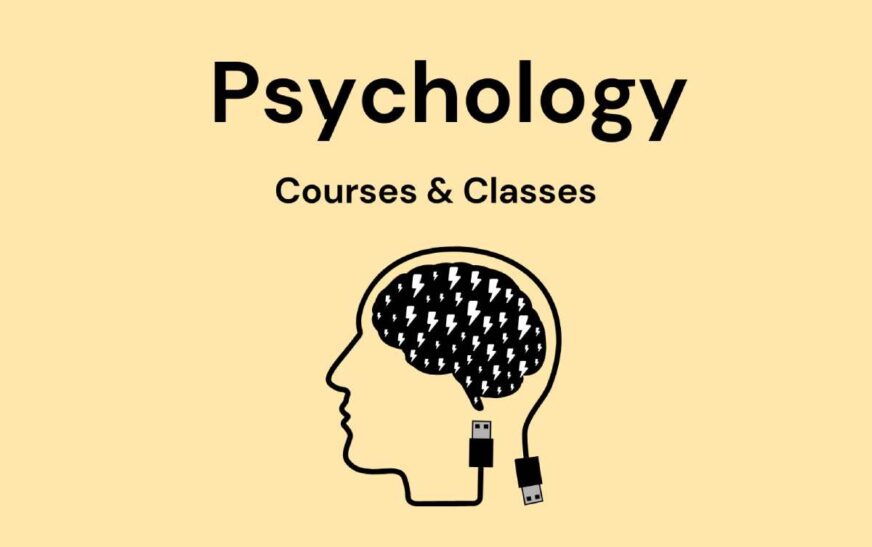 An Overview of Standard Level Psychology Courses