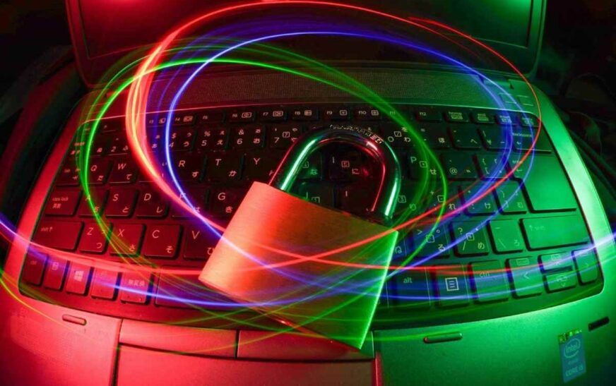 How Do Vector Databases Uphold Cyber Security?