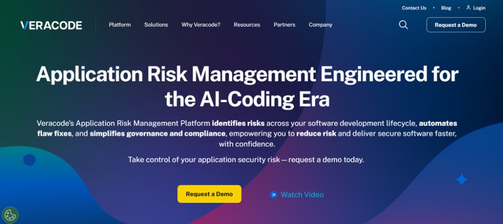 application risk management